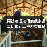 网站建设如何实现多语言切换？三种方案优缺点对比（图3）