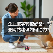 企业数字转型必备：专业网站建设如何助力？