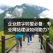 企业数字转型必备：专业网站建设如何助力？（图4）