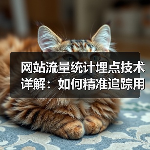 网站流量统计埋点技术详解：如何精准追踪用户行为？（图3）