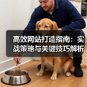 高效网站打造指南：实战策略与关键技巧解析（图3）