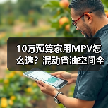 10万预算家用MPV怎么选？混动省油空间全拿捏（图2）