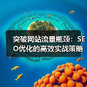 突破网站流量瓶颈：SEO优化的高效实战策略（图3）