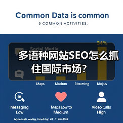 多语种网站SEO怎么抓住国际市场？（图2）