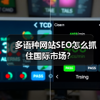 多语种网站SEO怎么抓住国际市场？（图3）