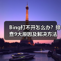 Bing打不开怎么办？排查9大原因及解决方法（图4）