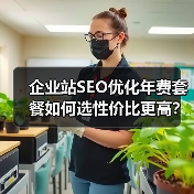 企业站SEO优化年费套餐如何选性价比更高？（图2）