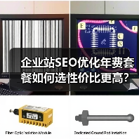 企业站SEO优化年费套餐如何选性价比更高？（图3）
