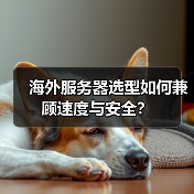 海外服务器选型如何兼顾速度与安全？（图2）