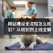 网站建设全流程怎么规划？从规划到上线全解析（图2）