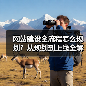 网站建设全流程怎么规划？从规划到上线全解析（图3）