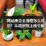 网站建设全流程怎么规划？从规划到上线全解析（图4）