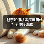 新手如何从零搭建网站？全流程详解（图4）