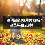 建网站能按月付费吗？这些平台支持！（图2）