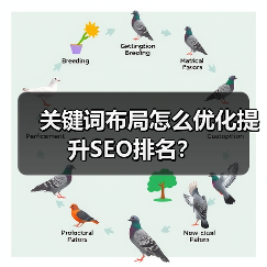 关键词布局怎么优化提升SEO排名？（图1）