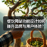 餐饮网站功能设计如何提升品牌与用户体验？（图1）