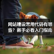 网站建设常用代码有哪些？新手必看入门指南（图2）