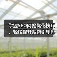 掌握SEO网站优化技巧，轻松提升搜索引擎排名（图4）