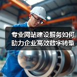 专业网站建设服务如何助力企业高效数字转型？（图2）