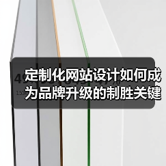 定制化网站设计如何成为品牌升级的制胜关键？（图3）