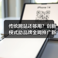 传统网站还够用？创新模式助品牌全网推广新思路（图2）