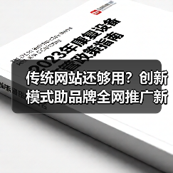 传统网站还够用？创新模式助品牌全网推广新思路（图3）