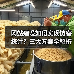 网站建设如何实现访客统计？三大方案全解析（图3）