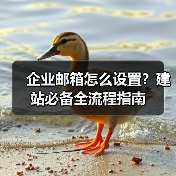 企业邮箱怎么设置？建站必备全流程指南（图1）