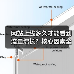网站上线多久才能看到流量增长？核心因素全解析（图1）