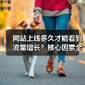 网站上线多久才能看到流量增长？核心因素全解析（图2）