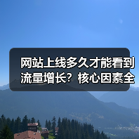 网站上线多久才能看到流量增长？核心因素全解析（图4）