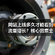 网站上线多久才能看到流量增长？核心因素全解析（图3）