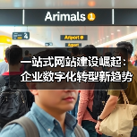 一站式网站建设崛起：企业数字化转型新趋势（图3）