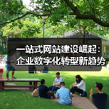 一站式网站建设崛起：企业数字化转型新趋势（图4）