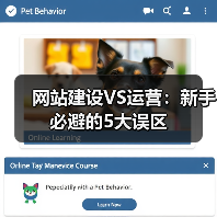 网站建设VS运营：新手必避的5大误区（图3）