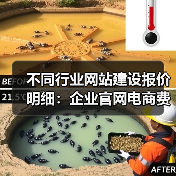 不同行业网站建设报价明细：企业官网电商费用对比（图3）