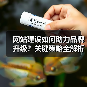 网站建设如何助力品牌升级？关键策略全解析（图3）
