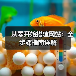 从零开始搭建网站：全步骤指南详解（图2）
