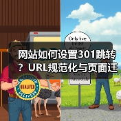 网站如何设置301跳转？URL规范化与页面迁移完整教程（图3）