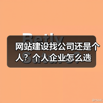 网站建设找公司还是个人？个人企业怎么选（图1）