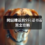 网站建设后SSL证书设置全攻略（图3）