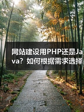 网站建设用PHP还是Java？如何根据需求选择语言（图4）
