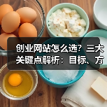 创业网站怎么选？三大关键点解析：目标、方式与技术选择（图4）