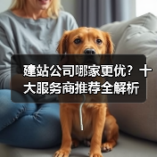 建站公司哪家更优？十大服务商推荐全解析（图1）
