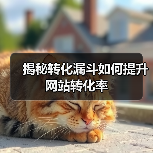 揭秘转化漏斗如何提升网站转化率（图1）