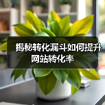 揭秘转化漏斗如何提升网站转化率（图4）