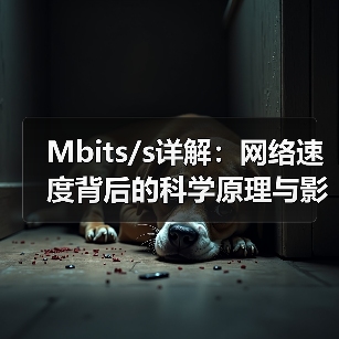 Mbits/s详解：网络速度背后的科学原理与影响