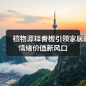 植物源释香板引领家居情绪价值新风口（图3）