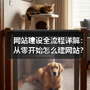 网站建设全流程详解：从零开始怎么建网站？（图1）