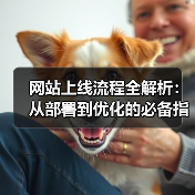 网站上线流程全解析：从部署到优化的必备指南（图4）